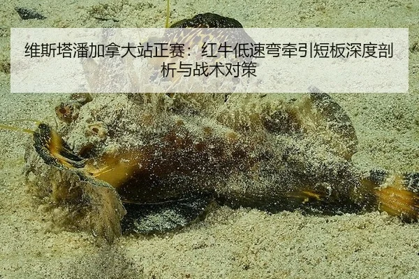维斯塔潘加拿大站正赛：红牛低速弯牵引短板深度剖析与战术对策